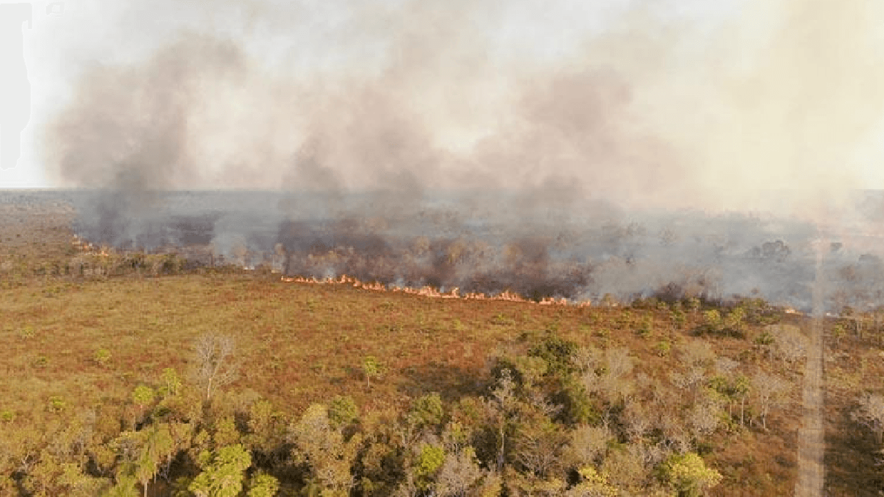 Reportan dos incendios y 321 focos de calor