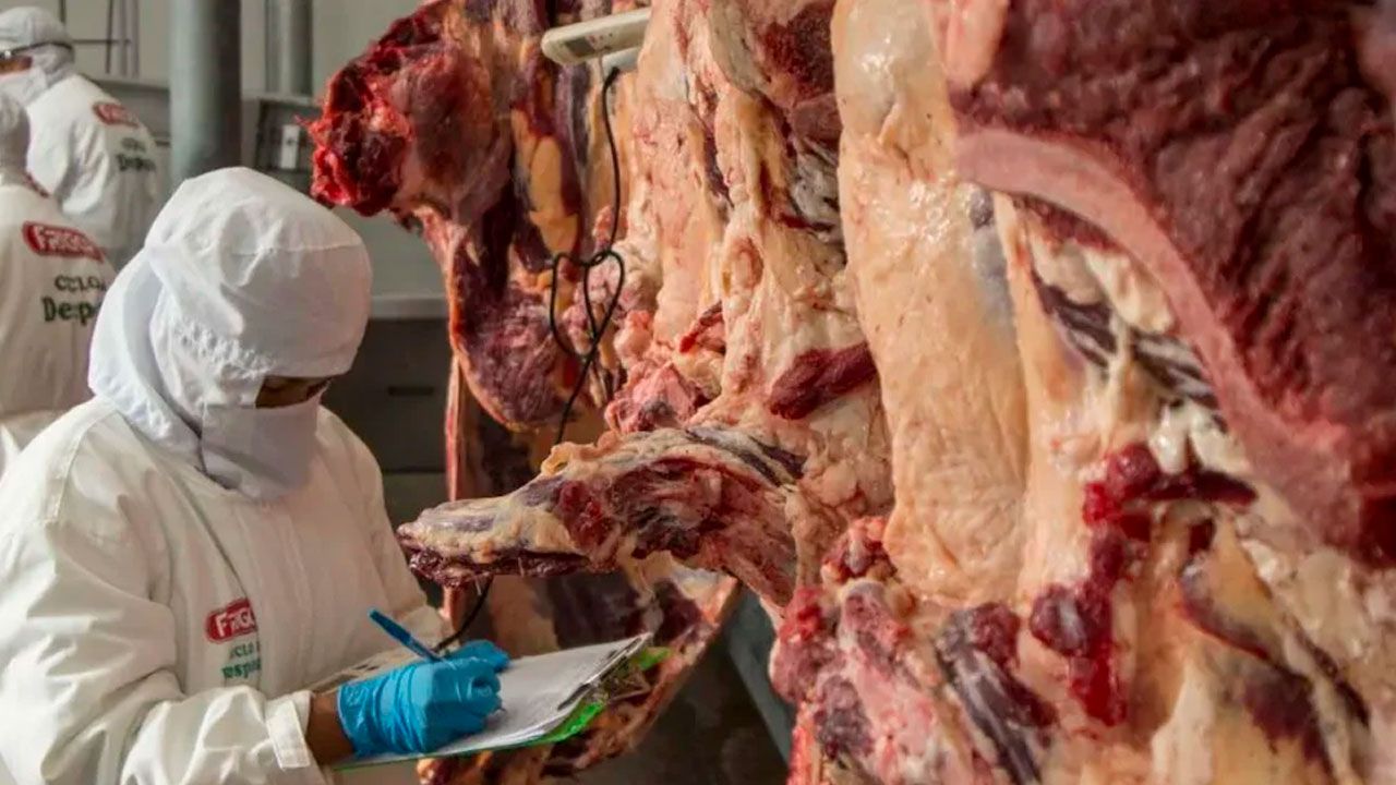Exportación de carne boliviana no supera el 10% de la producción nacional