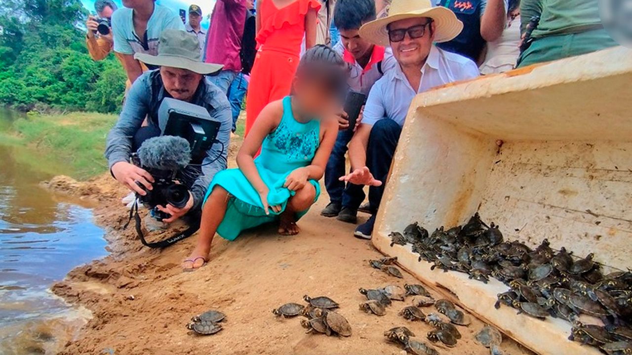 Aprehenden a una mujer con 58 tortugas destinadas a la venta en El Alto