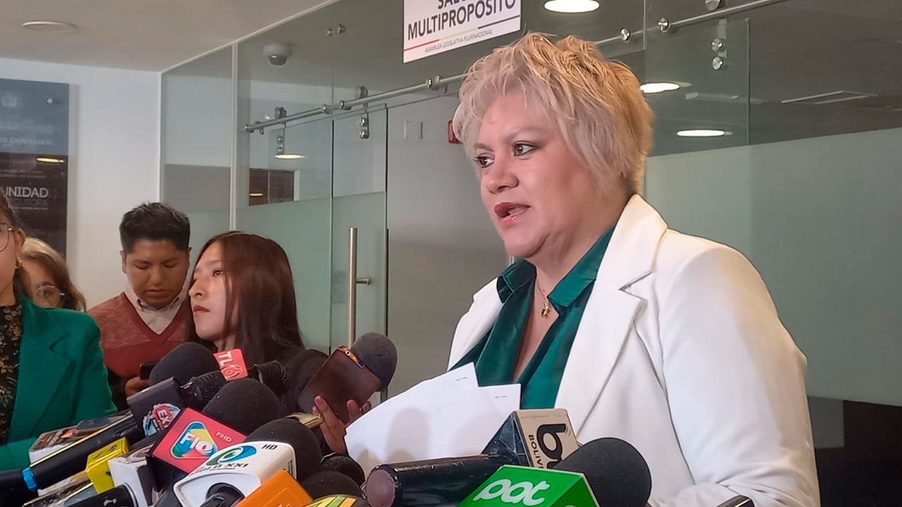 Diputada del PDC solicita informe  oral sobre calidad del combustible  importado