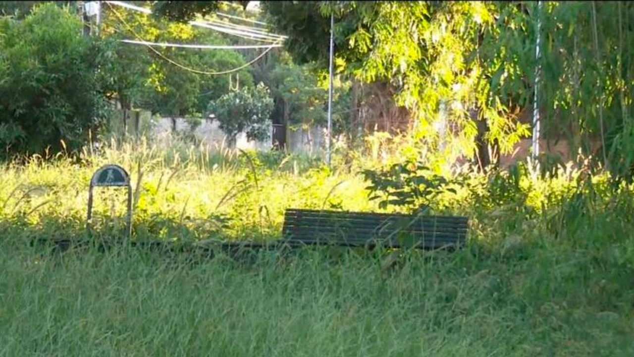 Maleza sin control genera  vecinal en la zona sur de Santa Cruz