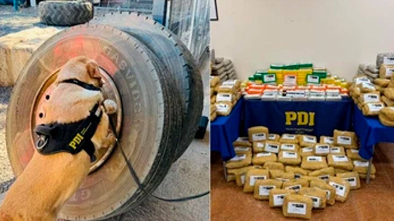 Caen cinco bolivianos en Chile por  traficar 370 kilos de droga ocultos  en un camión