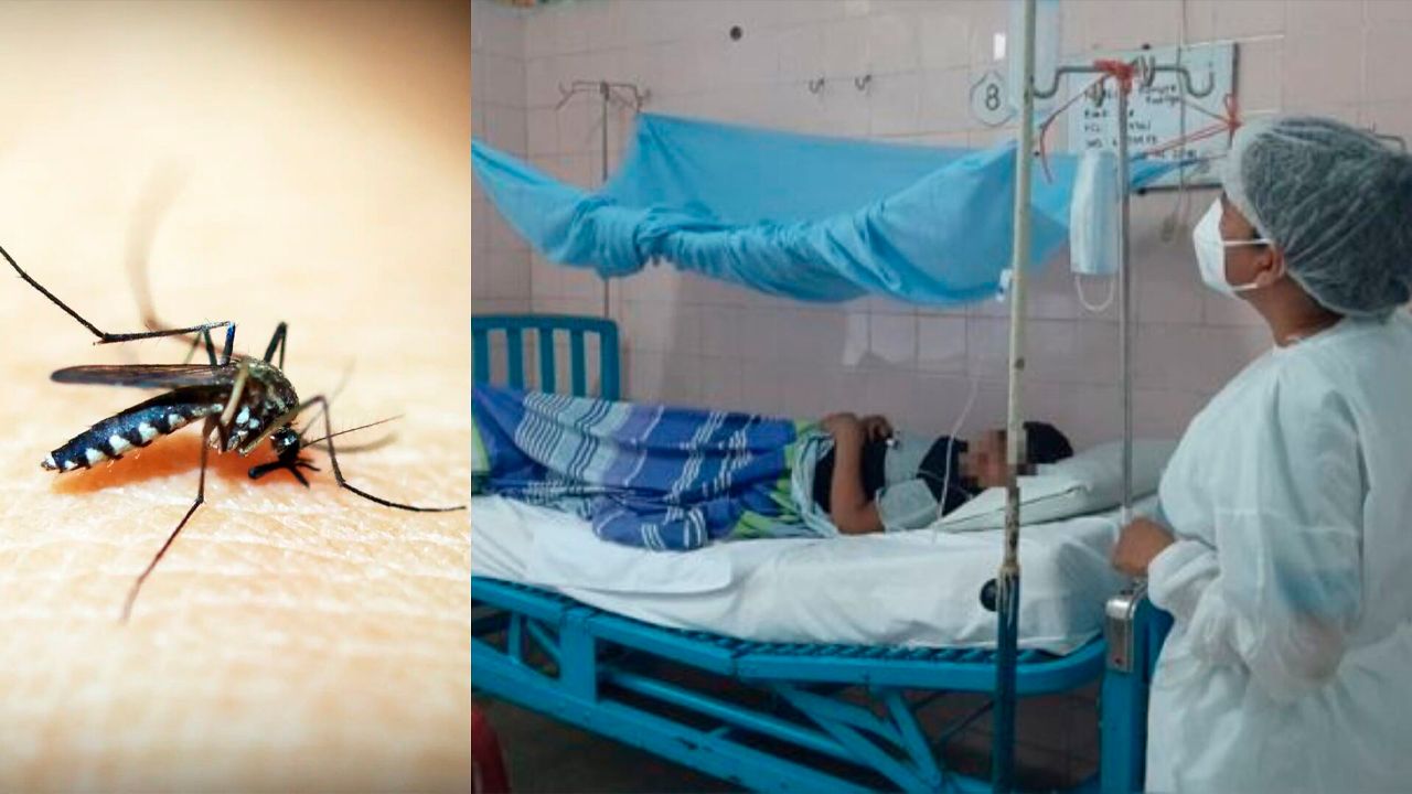 Confirman 70 casos de chikungunya  en el norte paceño