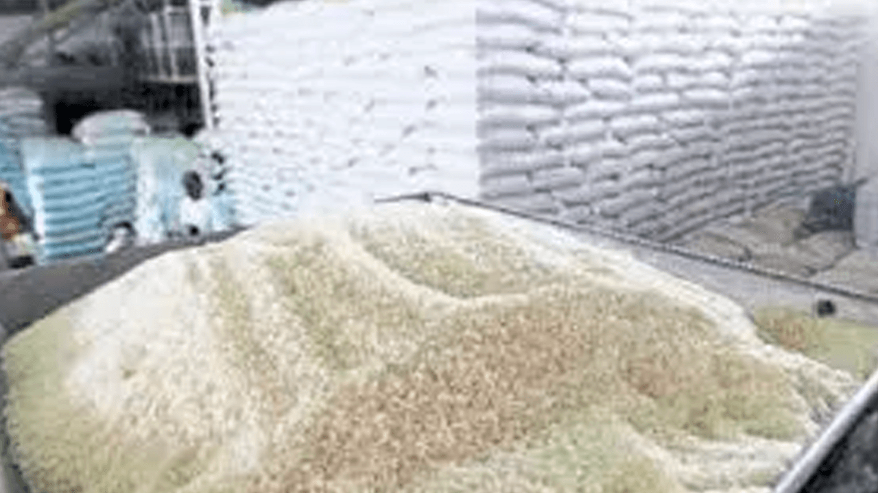 Gobierno suspende importación de arroz para proteger la cosecha nacional y decomisa 9 toneladas de contrabando