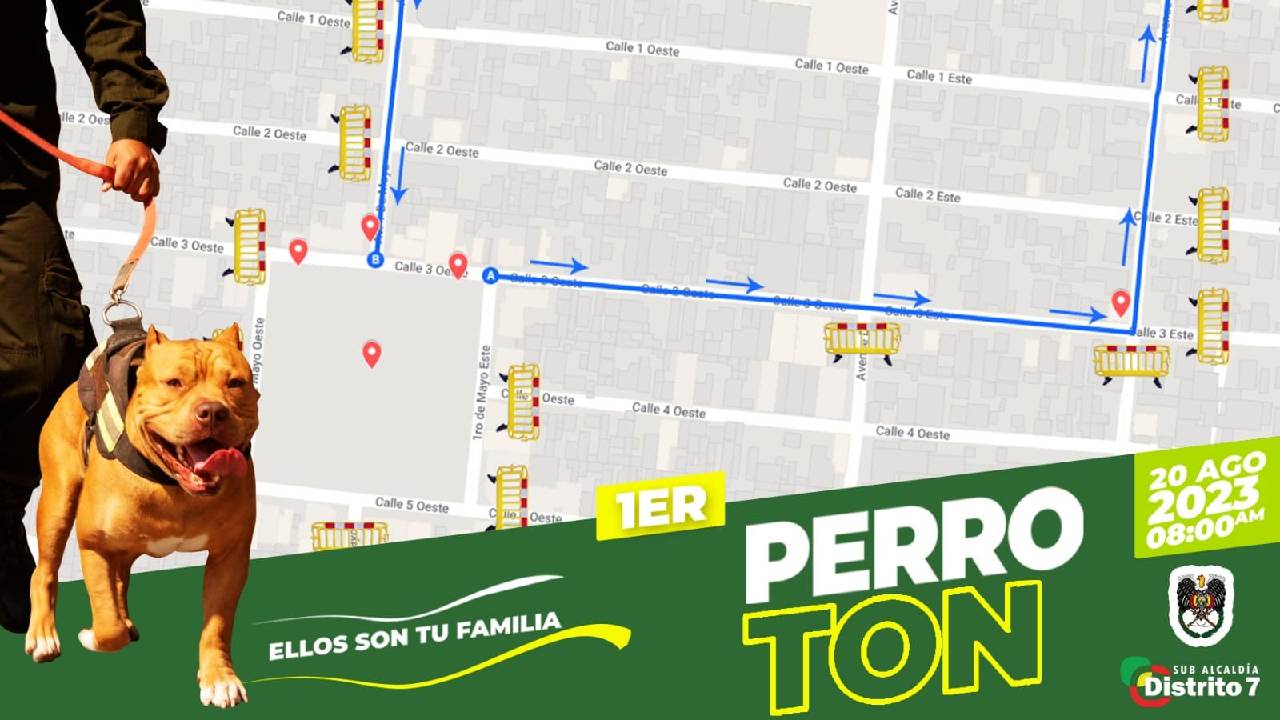 Perrotón en Villa Primero de Mayo, un evento para Celebrar y Educar en el Cuidado de las Mascotas