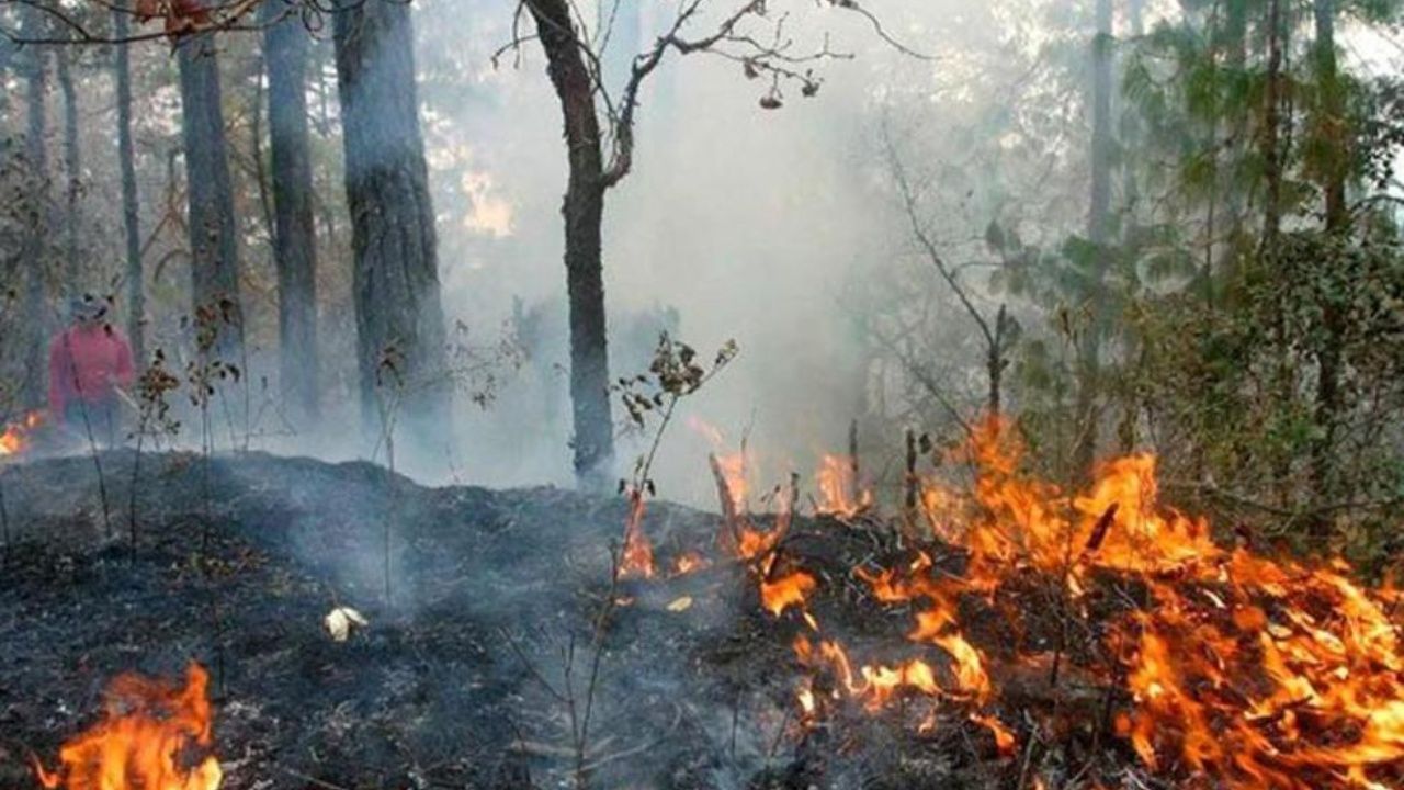 Focos de calor se incrementaron en 562%; no se reporta sobre las sanciones