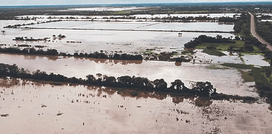 Lluvias, falta de diésel y bajos precios golpean al agro cruceño y dejan millonarias pérdidas