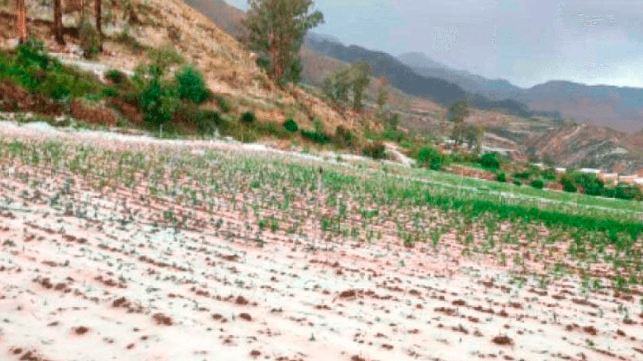 Desastres naturales en Potosí provocan la pérdida del 26% de la producción agrícola