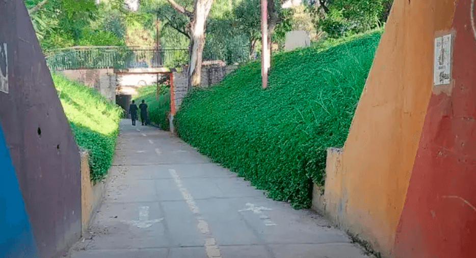 Investigan intento de violación en ciclovía de cochabamba: víctima fue golpeada y apuñalada