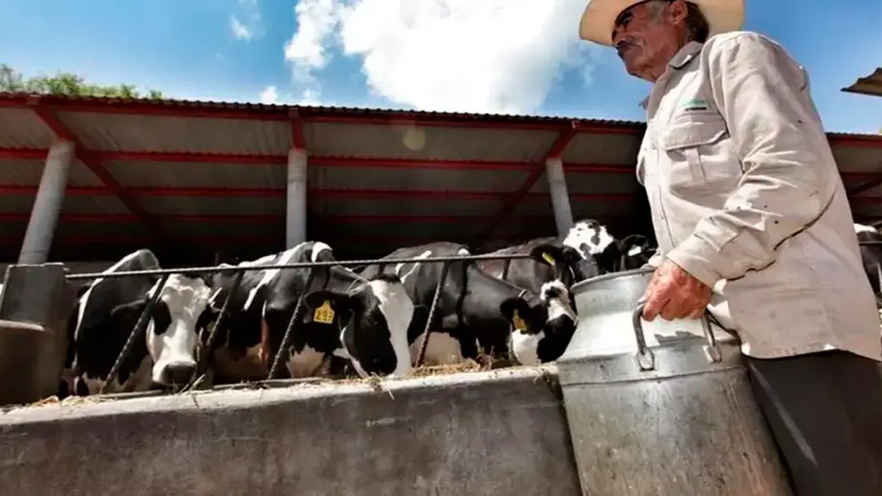 Sector lechero de Cochabamba en emergencia por falta de combustible e incremento de fletes