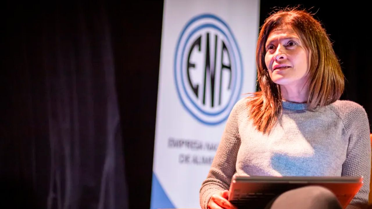 Investigan a exministra Patricia Ballivián por irregularidades en planta de cemento de Potosí
