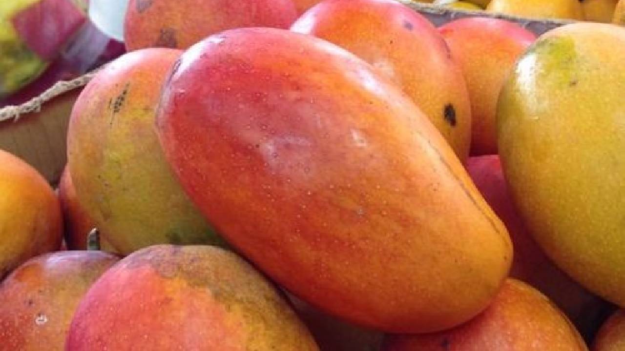 China detiene importación de mangos de Taiwán por razones sanitarias