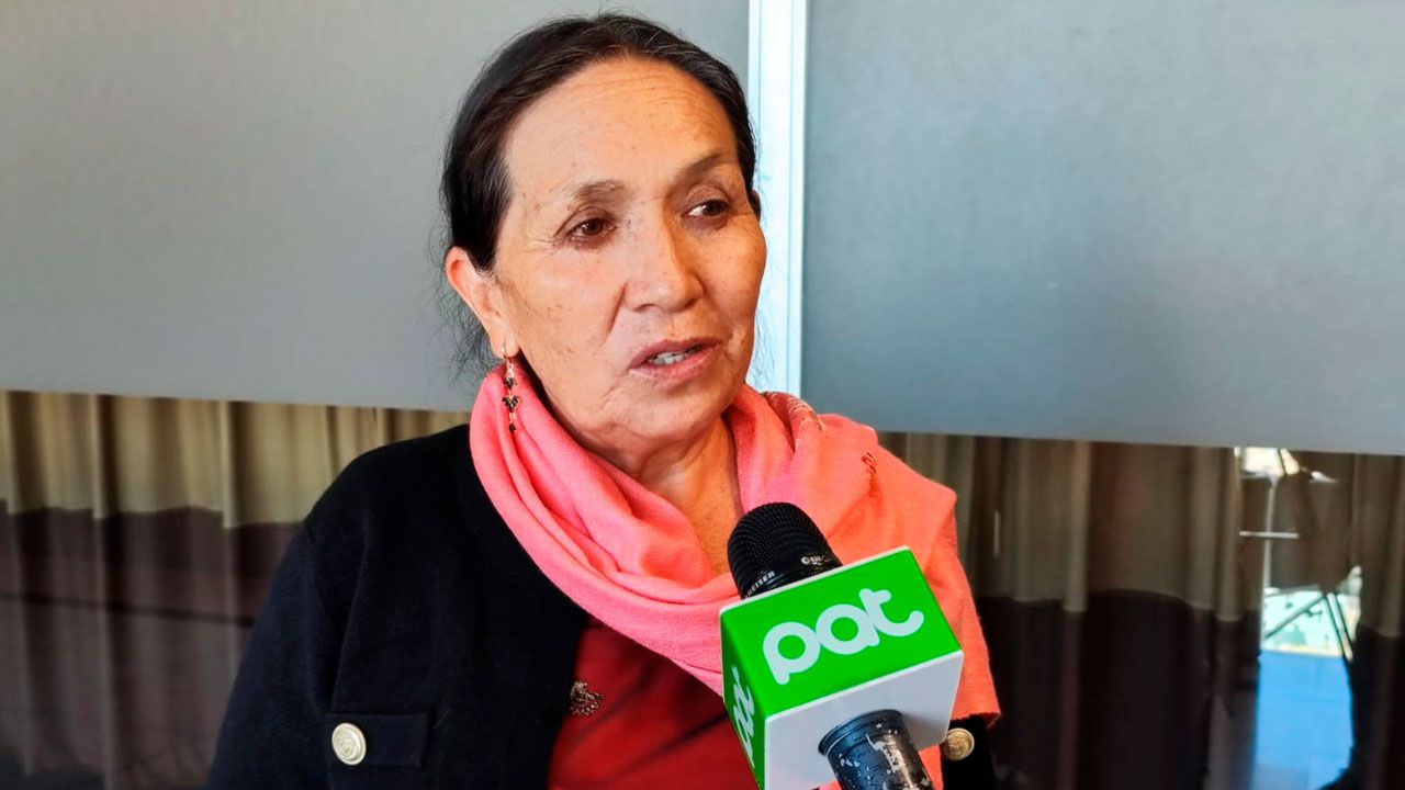 Tomasa Yarhui cuestiona respuestas del ministro en caso maletas