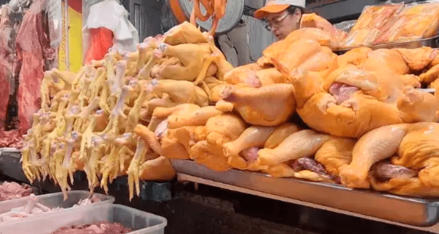 Avicultores advierten que bloqueos rompen el ciclo productivo del pollo y ponen en riesgo a pequeños productores
