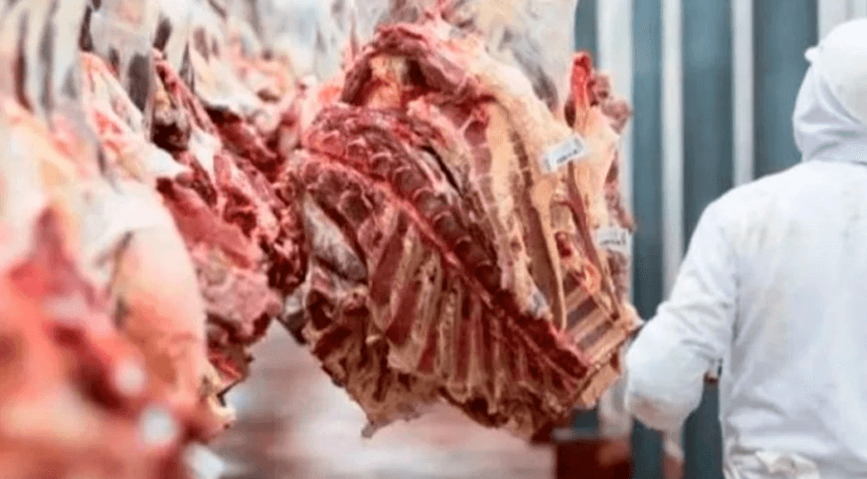 Bloqueos afectan el abastecimiento de carne y ponen en riesgo exportaciones, advierte Fegasacruz