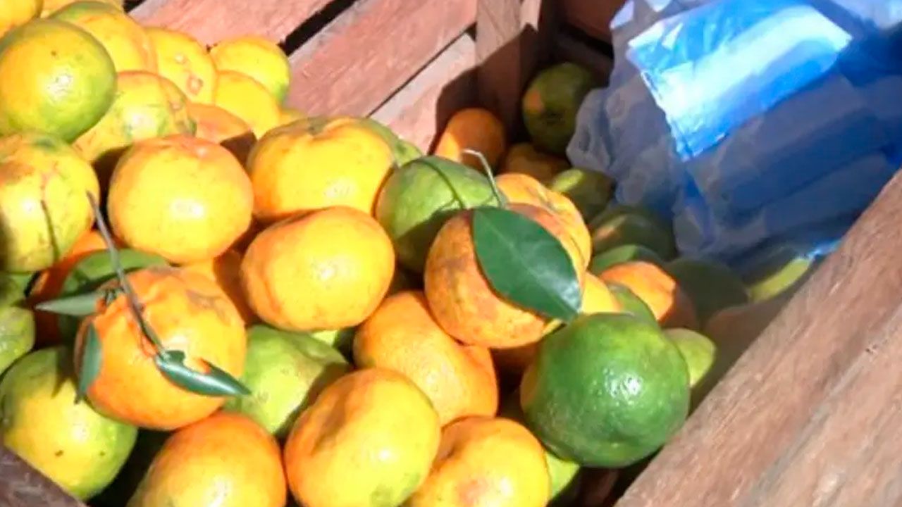 Comerciantes de frutas en El Tejar denuncian severas pérdidas por bloqueos en La Paz