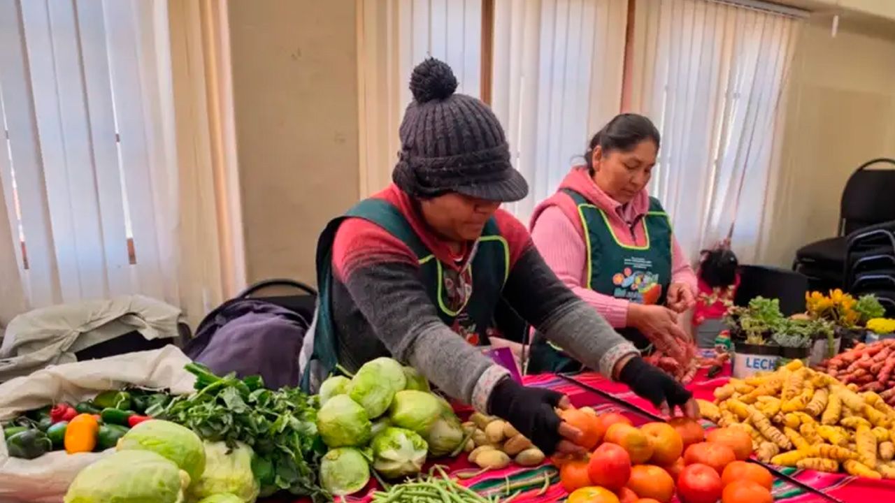 Ley de Alivio Tributario beneficiará a más de 82 mil pequeños contribuyentes con deudas menores a Bs 10 millones