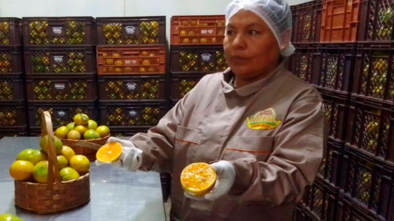 Alcaldía destaca el trabajo de las madres alteñas en la alimentación de más de 268 mil estudiantes
