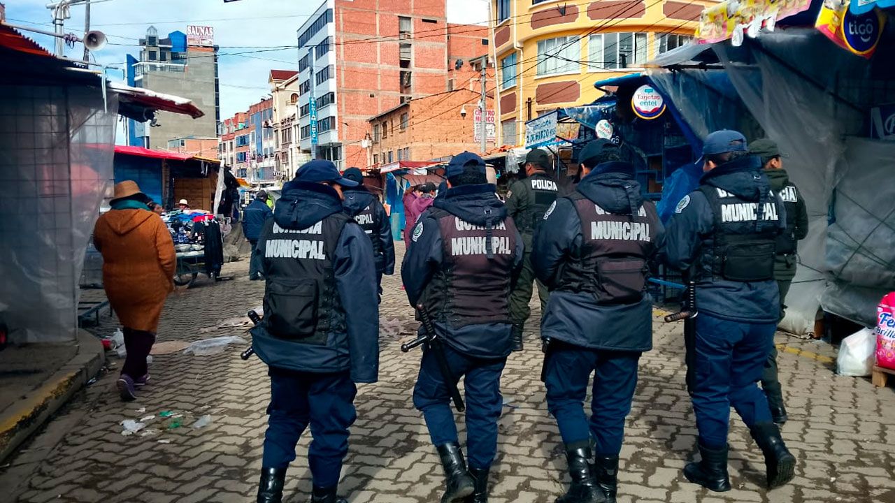 Alcaldía intensifica operativos para detectar faeneo clandestino de carne de burro en el alto