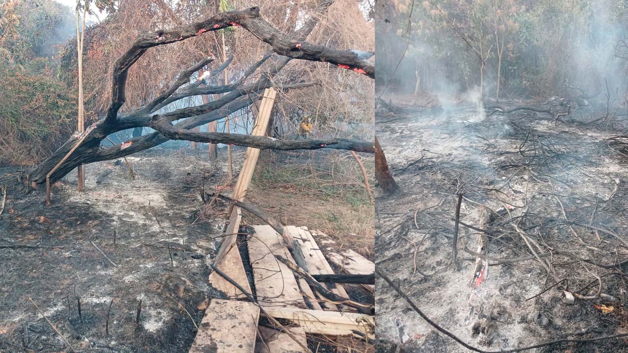 Incendio forestal amenaza viviendas en barrio Obelisco: Acción vecinal y bomberos en la escena
