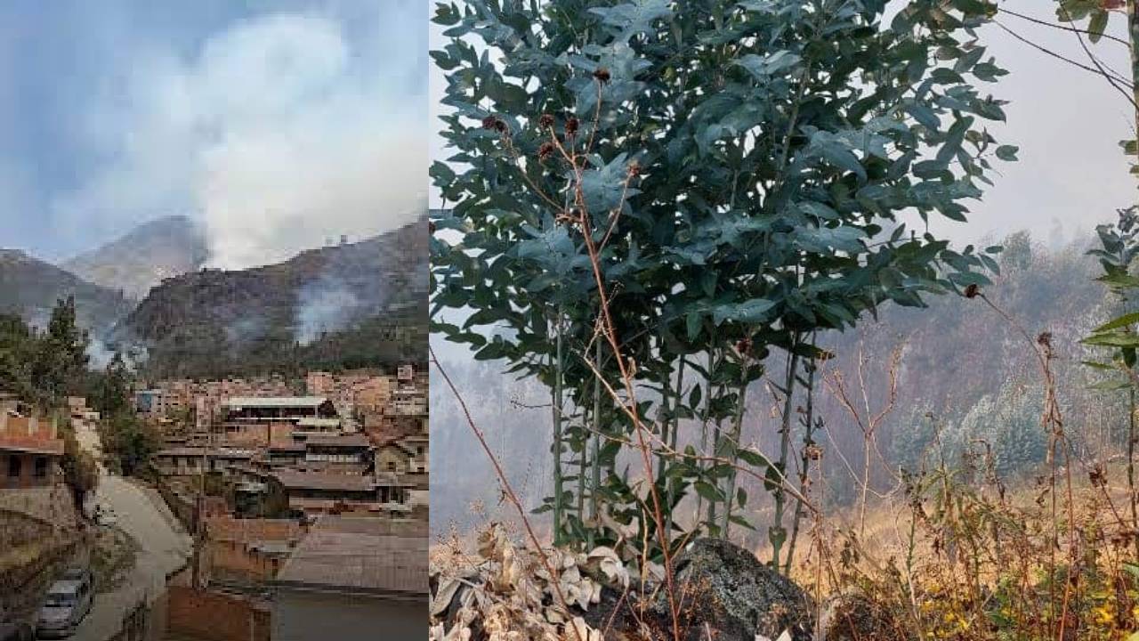 Quime en emergencia ante catástrofe ambiental por masivo incendio