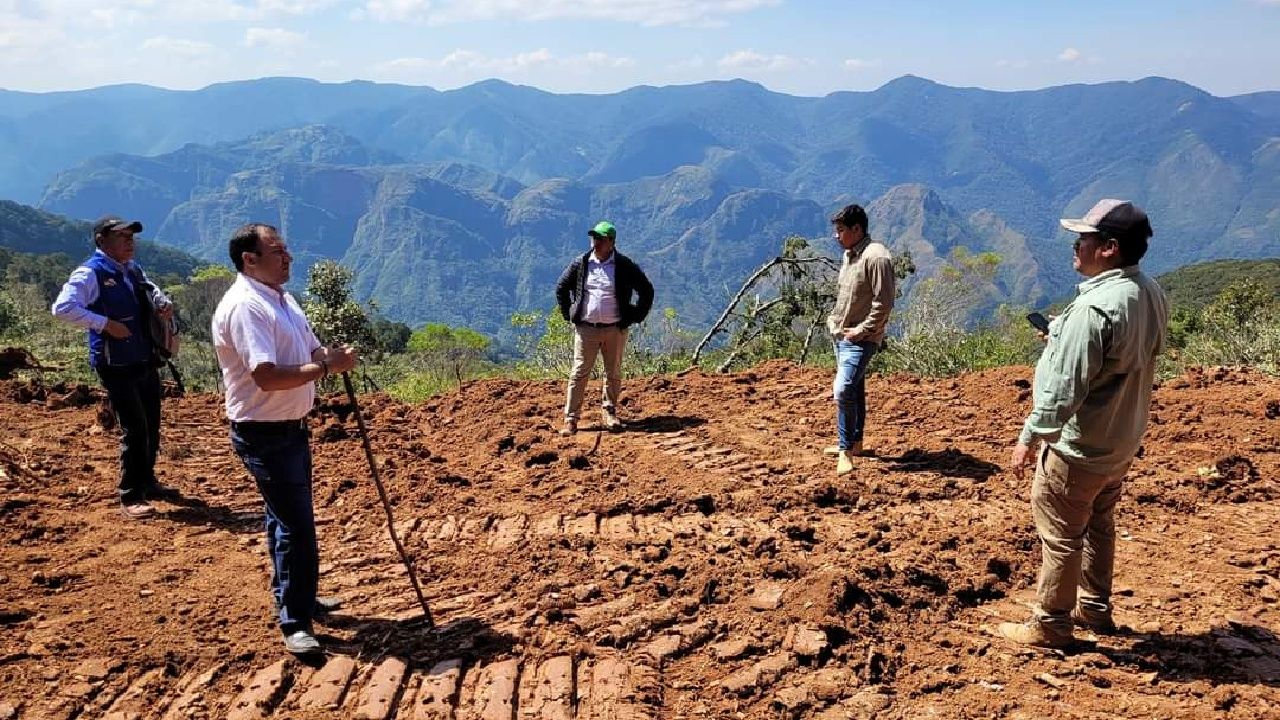 ABT iniciará proceso por desmonte ilegal en el bosque de helechos gigantes en Samaipata