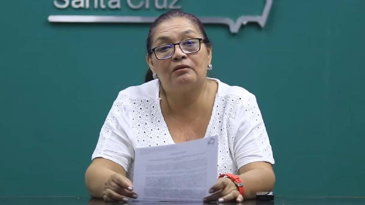 Desmonte bosque helechos gigantes: Colegio de ingenieros plantea mesas técnicas