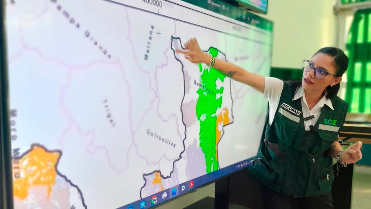 Desmonte del bosque de helechos gigantes en Samaipata: Directora de conservación del patrimonio natural se pronuncia