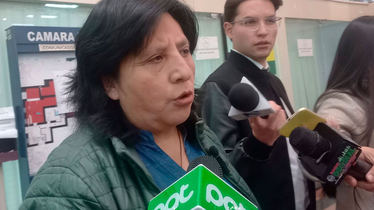 Diputada denuncia que grupos ajenos a El Alto estarían detrás de hechos de violencia