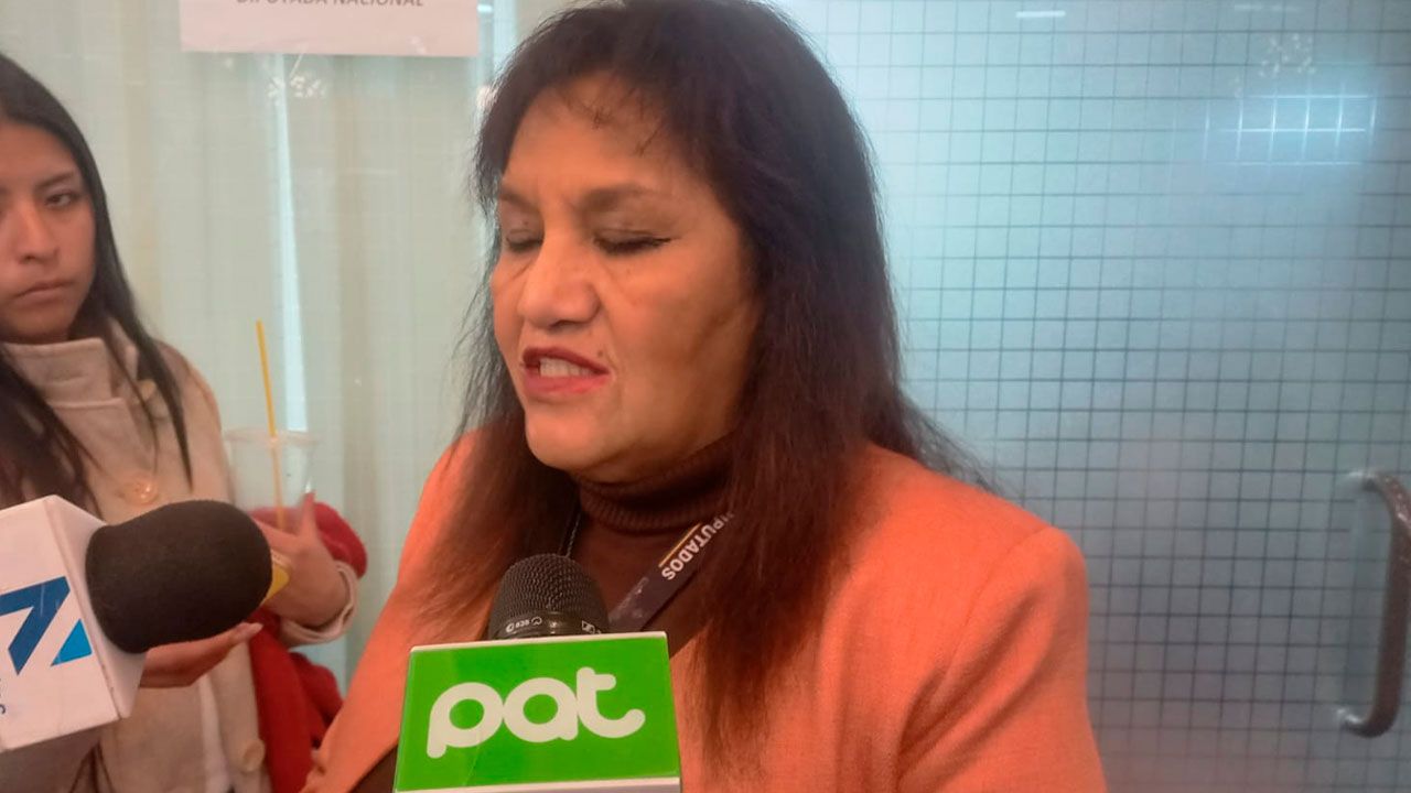 Diputada Julieta respalda reducción salarial del presidente y ministros en favor de pacientes renales