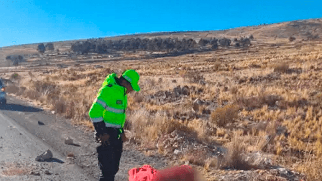 Tragedia en carretera: Volqueta atropella a un peatón y se da a la fuga en Potosí