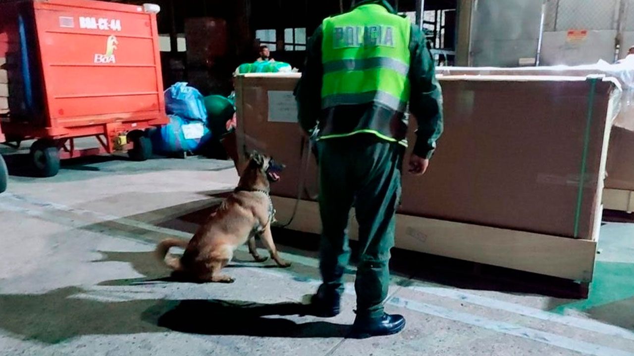 FELCN realiza inspecciones en viru viru tras alerta sobre un cargamento de madera