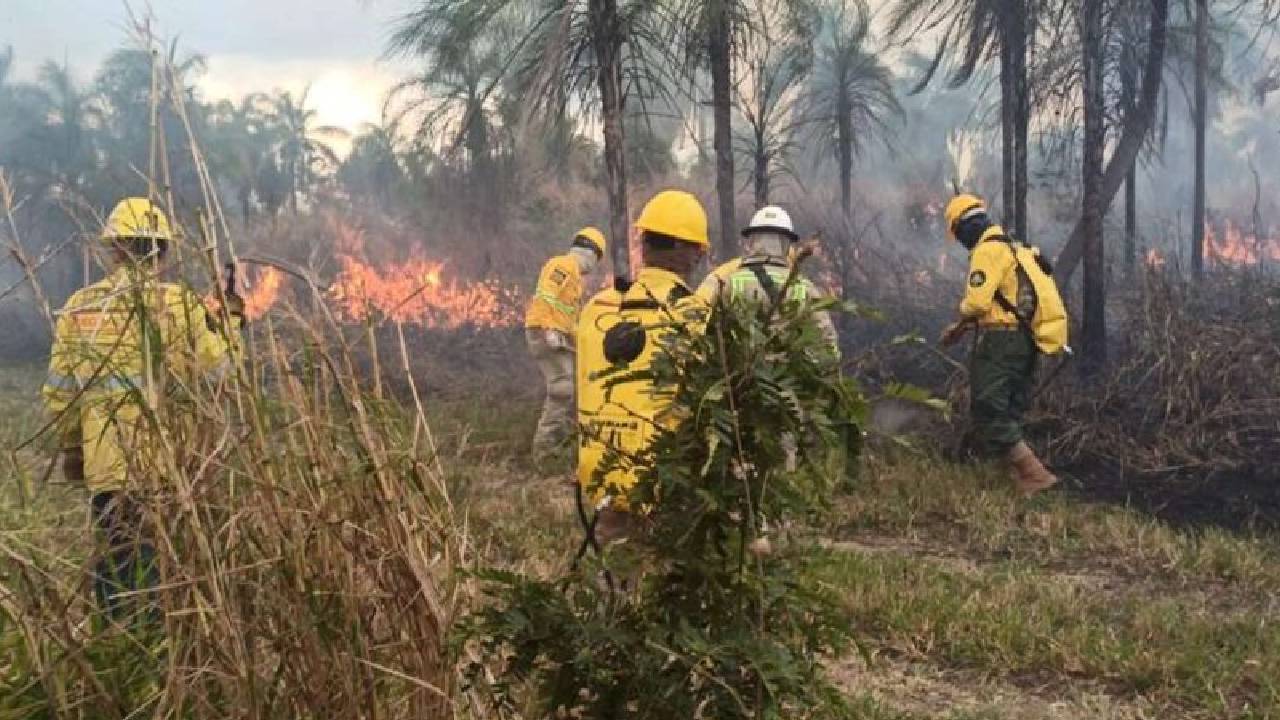 Incendio en parque nacional Kaa- Iya, daña a más de 4 mil hectáreas y causa muerte de animales silvestres 