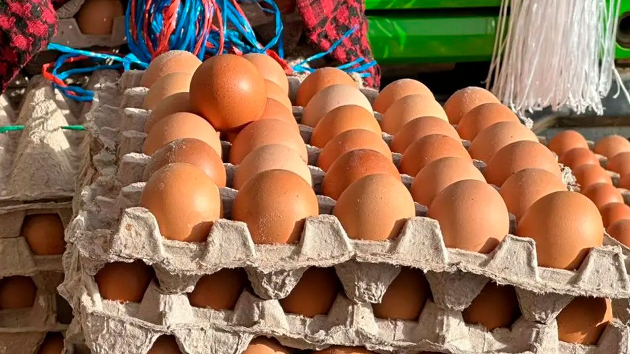 Baja el precio del huevo en La Paz