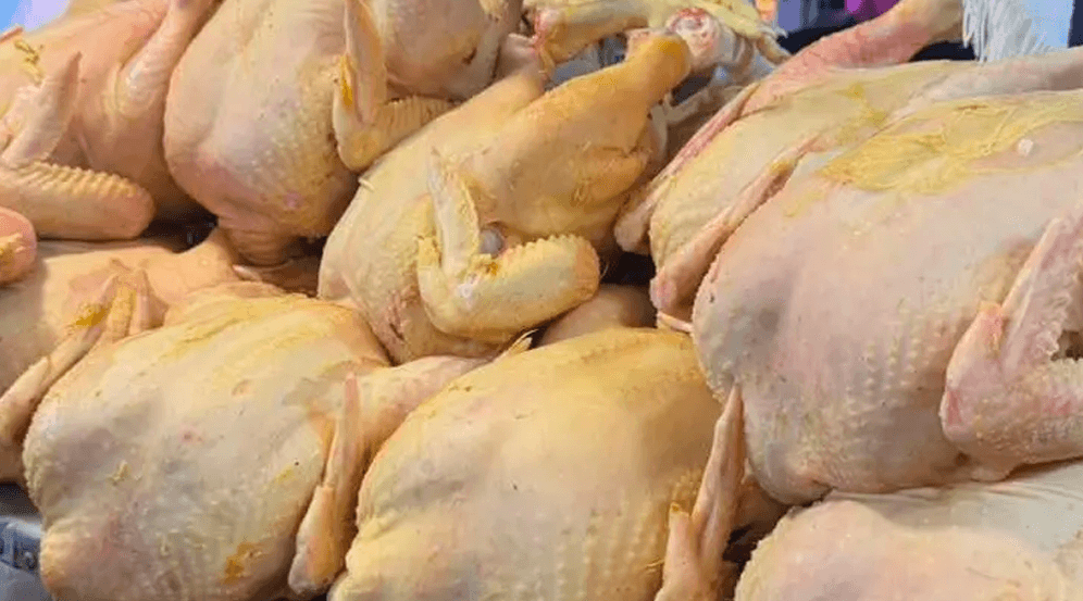 Baja el precio del pollo en Santa Cruz por sobreoferta en mercados