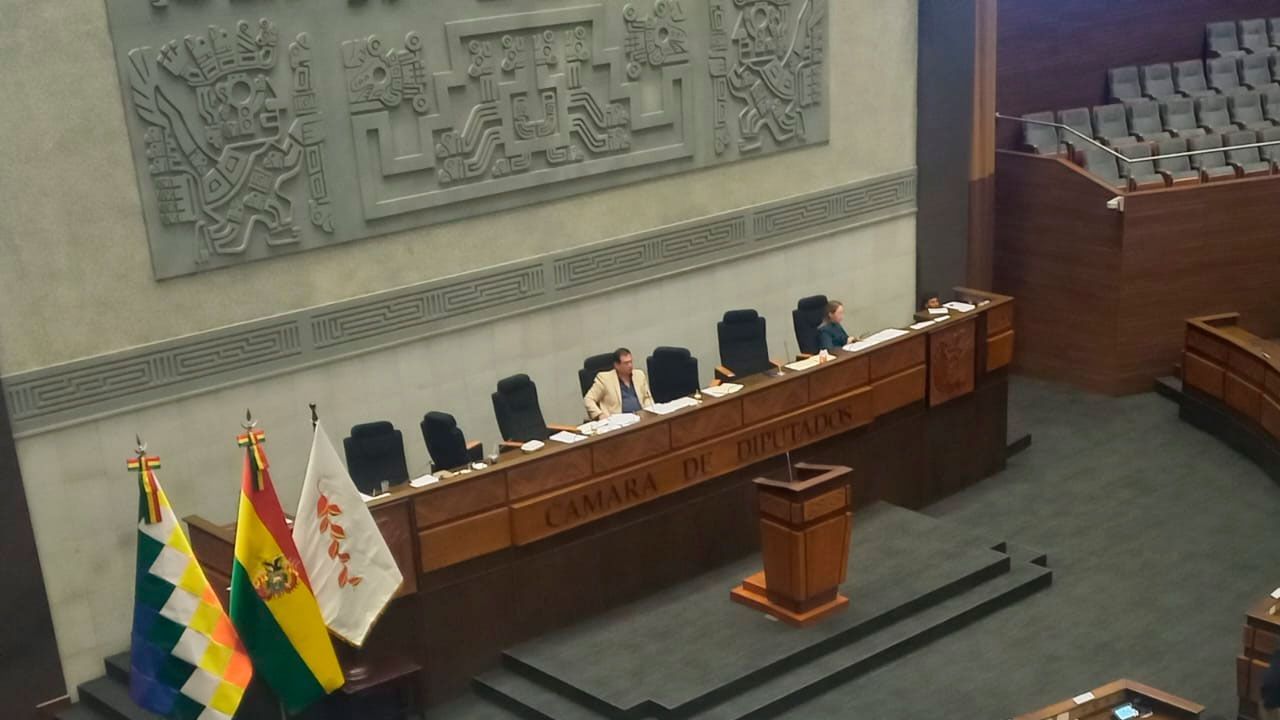 Diputados debaten crédito de $us 118 millones para obras viales