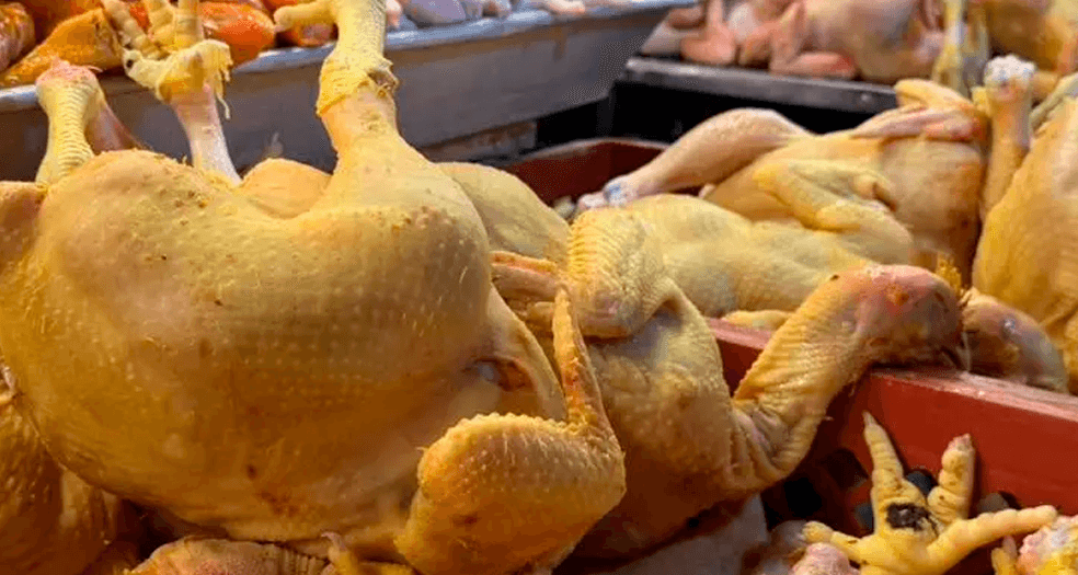 Precio del pollo varía en el eje central en el día 50 de bloqueos