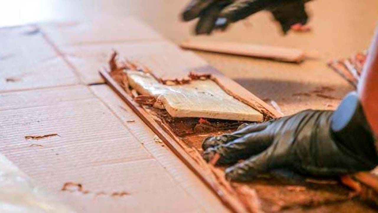 Polonia incauta 439 kilogramos de cocaína con vínculos en Bolivia