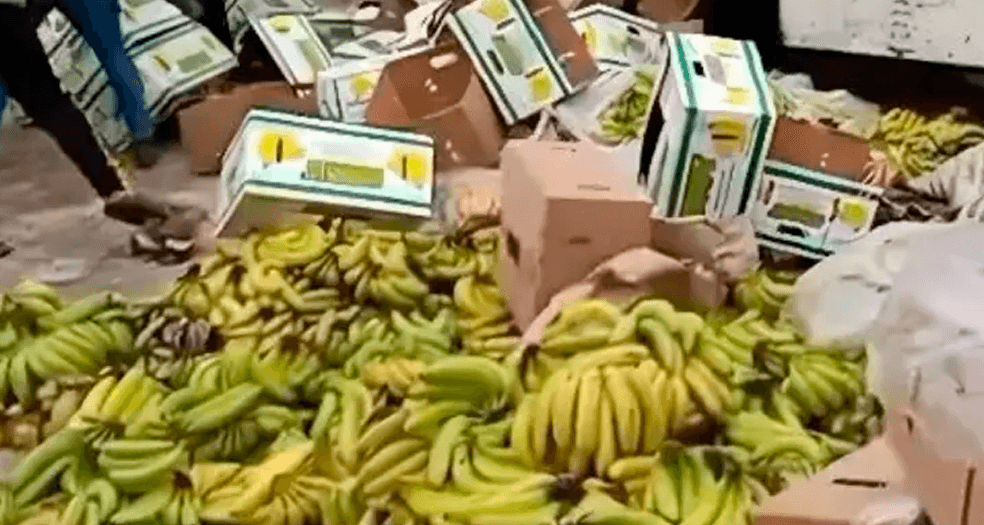 Bananeros exigen resarcimiento por pérdidas de $us 10 millones tras los bloqueos