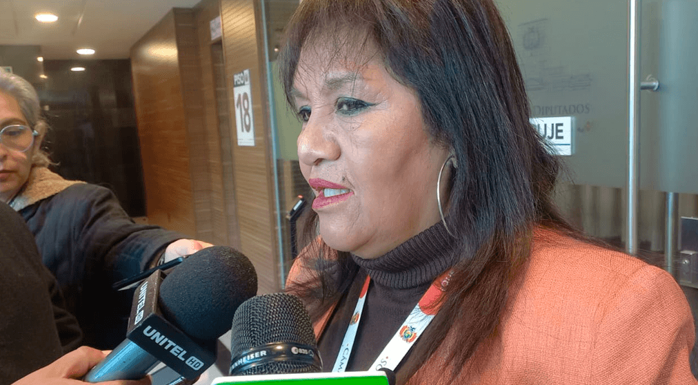 Diputada Jimenes espera presencia de la ministra de Salud en interpelación en la ALP