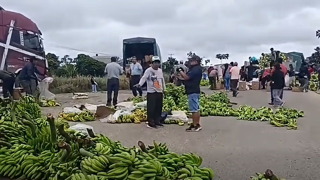 Bananeros reportan millonarias pérdidas por los bloqueos