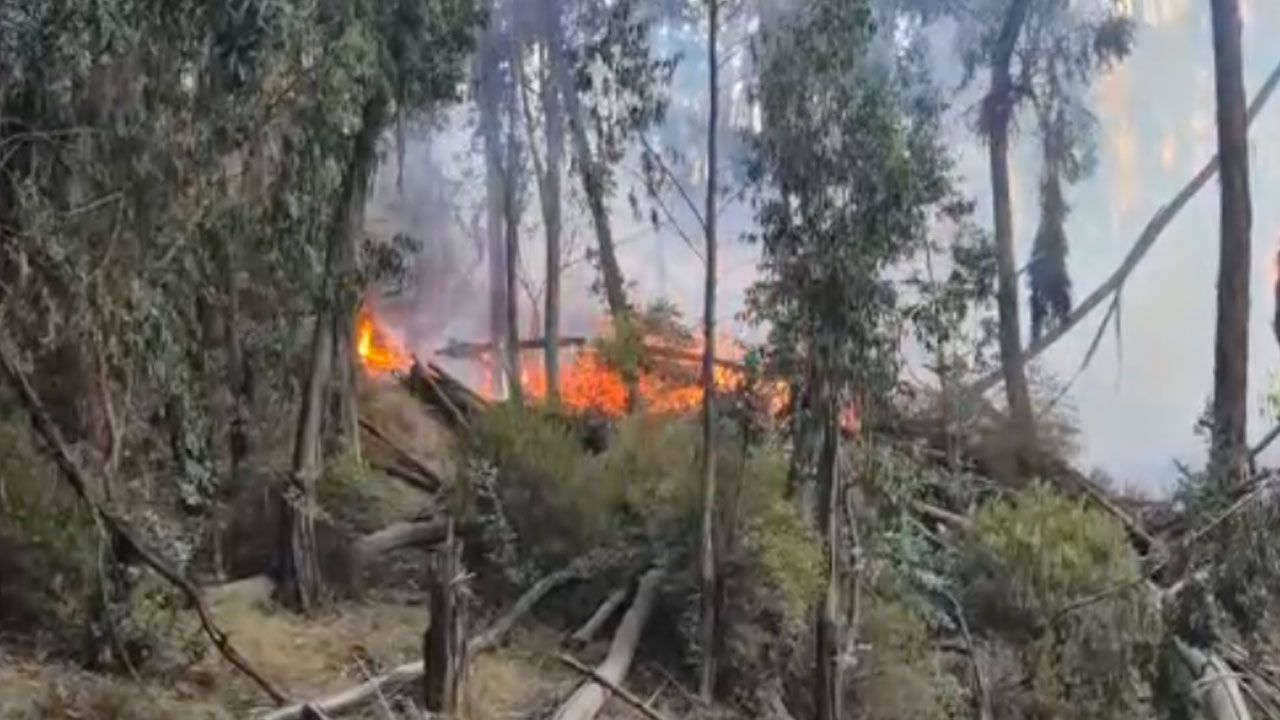 Incendio afecta parte del Bosquecillo de Pura Pura en La Paz