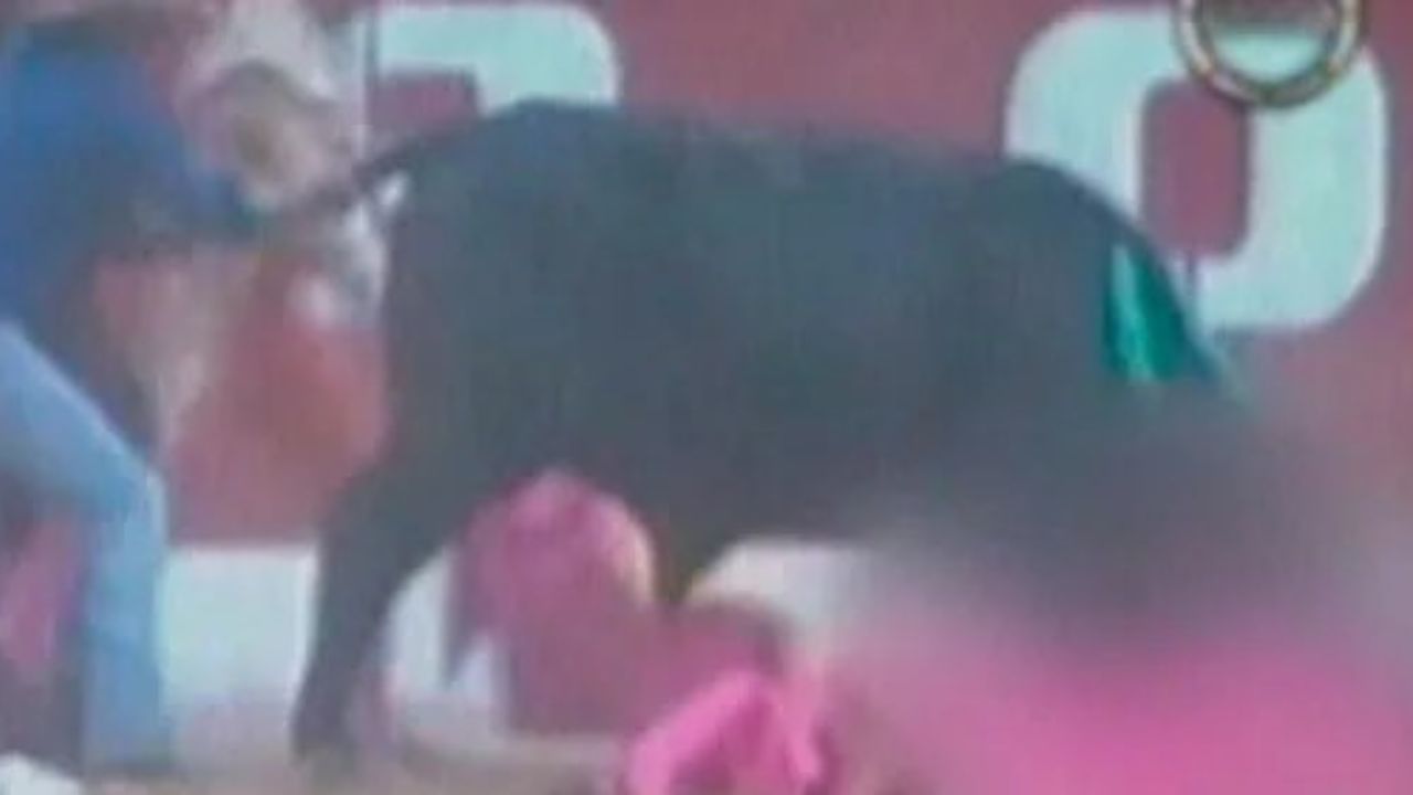 Tragedia en Cusco: Joven Torero Pierde la Vida Tras Brutal Embestida de un Toro en Festividad Patronal