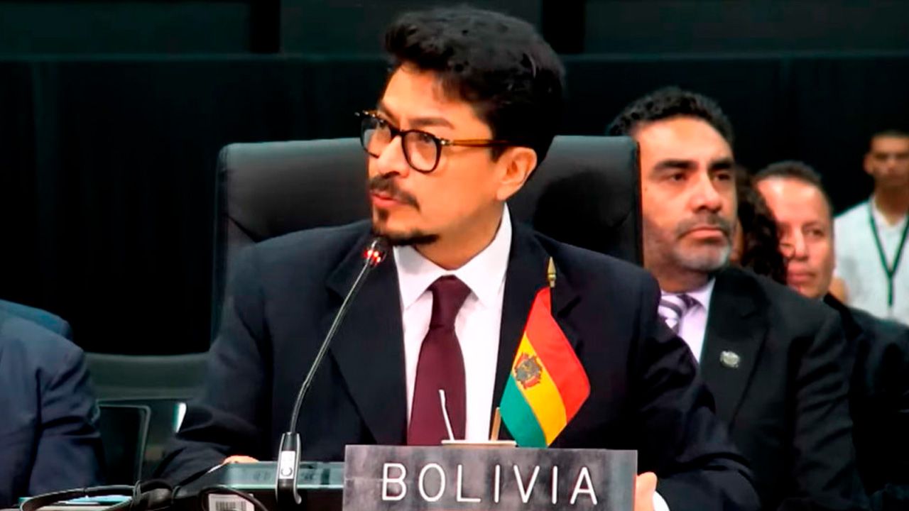 Canciller defiende en la OEA la respuesta del Gobierno a la crisis
