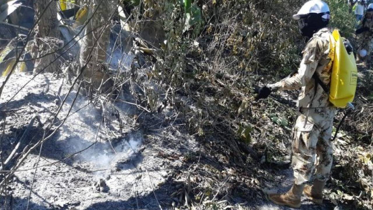 Gobierno informa que no hay incendios forestales de magnitud en este momento