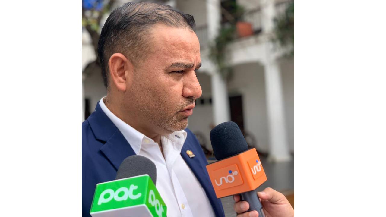 Declaraciones del Diputado del MAS: Preocupaciones sobre elecciones judiciales y el riesgo de "Decretazo"