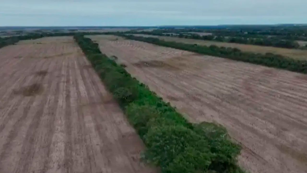 Sector productivo pide reactivar la comisión agraria por avasallamientos