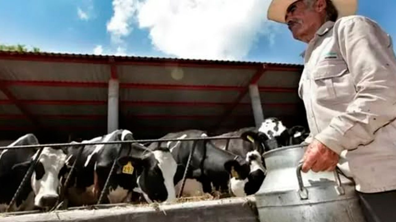 Escasez de combustible afecta al sector lechero