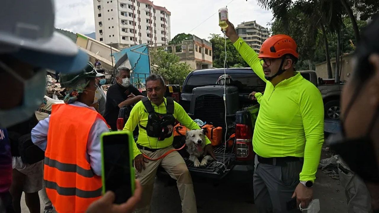 Tsunami y los perros rescatistas devuelven la esperanza en Venezuela
