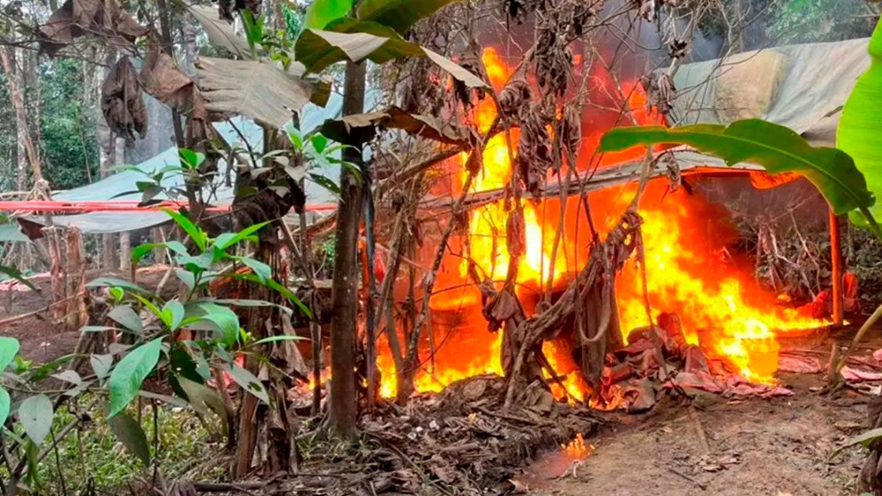 Umopar destruye un megalaboratorio y 16 fábricas de droga en Villa Tunari